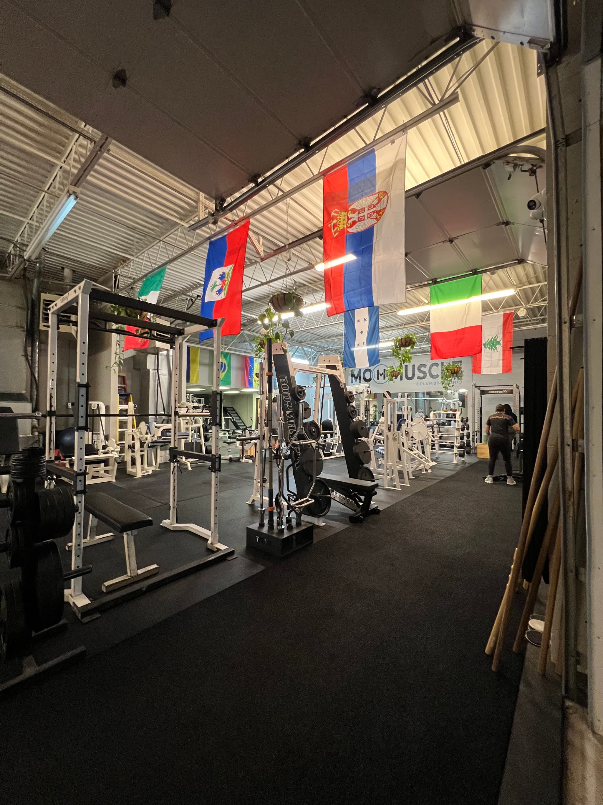 Mo Muscle Gym 4